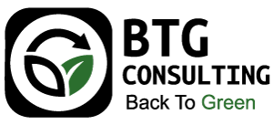BTG Consulting