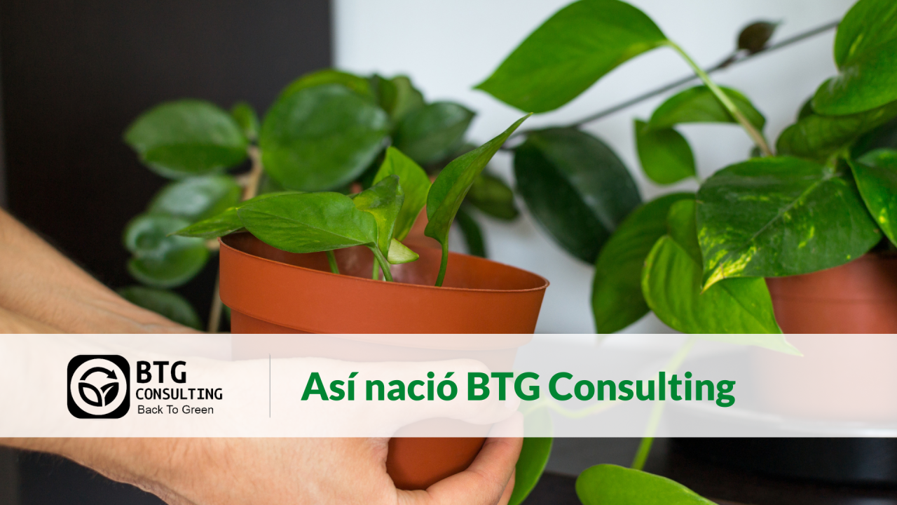 Todo comenzó con una pregunta que me hizo un profesor en clases: «¿Qué podrías hacer en concreto que no estén haciendo ya las grandes empresas? ¿Qué puedes profundizar para marcar la diferencia?»